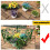 Green Plastic Garden Edging Fence 4-Pack 13.77 Inch 8