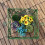 Green Plastic Garden Edging Fence 4-Pack 13.77 Inch 5