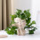 2 Stück DIY Blumentopf Silikonformen Aufbewahrungsbox Harzform 7