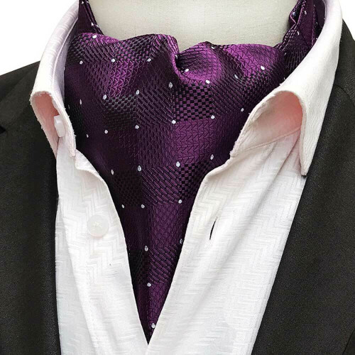 Men's Ascot Scarf Paisley Pattern Wedding Tie
