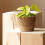 Straw Weaving Flower Plant Pot Basket Grass Planter-Medium 8