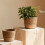 Straw Weaving Flower Plant Pot Basket Grass Planter-Medium 6
