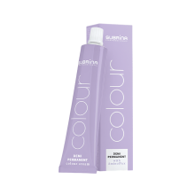 Subrina Professional Colour Demi-Permanent Hair Dye 10/0 10/0 Lightest Blonde 60 ml