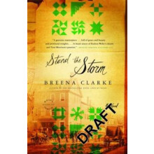 Stand the Storm by Breena Clarke Paperback Book