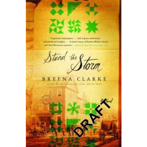 Stand the Storm by Breena Clarke Paperback Book