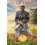 The Upon a Spring Breeze by Kelly Irvin Paperback Book 1
