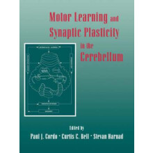 Motor Learning and Synaptic Plasticity in the Cerebellum Paperback Boo