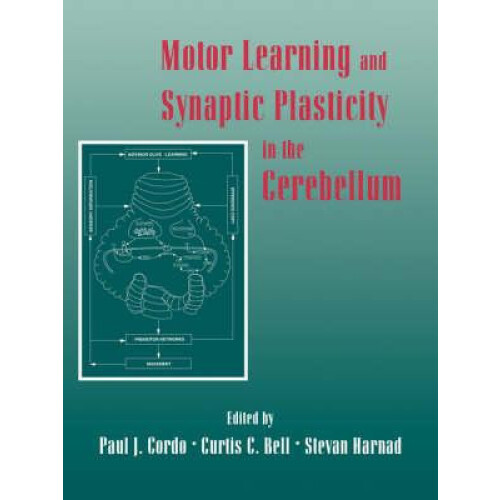 Motor Learning and Synaptic Plasticity in the Cerebellum Paperback Boo