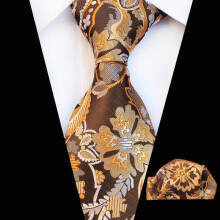 Men's Floral Paisley Tie and Pocket Square Set