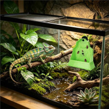 Reptile Anti-Escape Feeding Bowl, Wall-Mounted Corner Hunting Bowl with Suction Cup Reptile Slow Feeder for Terrarium