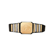FunPop Pro Wrestling Championship Belt Standard