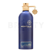 Montale Aoud Ambre 100 ml - Eau de Parfum