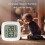 Temperature Humidity Detector Magnetic Adsorption Mini-Celsius 7