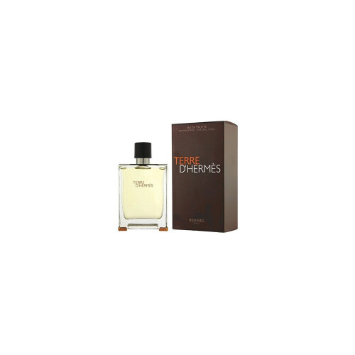 Hermes Hermès Terre D'Hermes 100 ml - Eau de Toilette