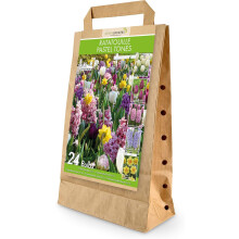 GreenBrokers Ratatouille Pastel Bulb Mix – 24 Dutch Bulbs, Bee-Friendly Gift