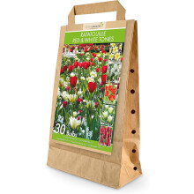 GreenBrokers Ratatouille Red & White Tones Bulb Mix – 30 Dutch Bulbs