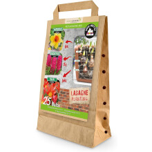 GreenBrokers Red Lasagne Mix 25 Spring Bulbs, Bee-Friendly