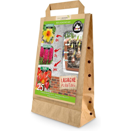 GreenBrokers Red Lasagne Mix  25 Spring Bulbs, Bee-Friendly