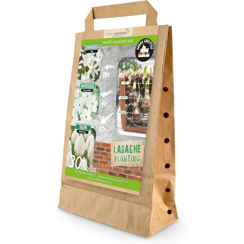 GreenBrokers White Lasagne Bulb Mix – 30 Spring Bulbs, Bee-Friendly