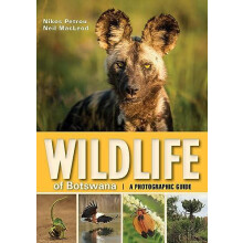 Wildlife of Botswana by Neil Macleod Paperback Book