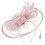 Postiche élégante en voile de fleur de plume pour-Poudre nue 1