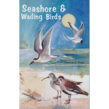Seashore and Wading Birds of Florida by Patricia E. Pope Paperback Boo