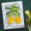 Spellbinders Lemon Zest 5