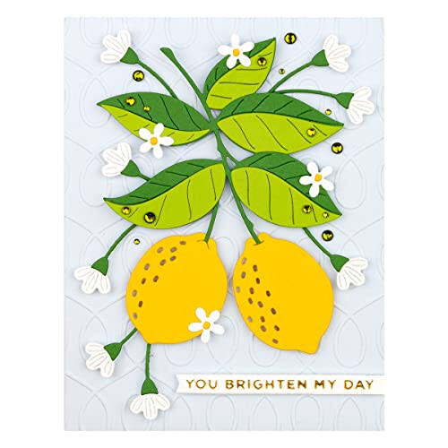 Spellbinders Lemon Zest 2