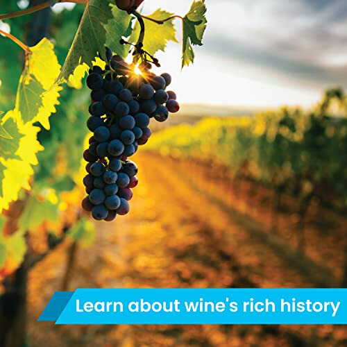 Activity Superstore Vineyard with Lunch for Two Gift Experience Voucher 1