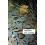 Nature by Noel Castree Paperback Book 1