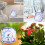 Indoor Outdoor Thermometer Hygrometer Practical Analog Humidity 8