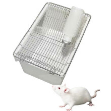 Mäuse-/Ratten-Nagetierkäfig mit Flaschenzuchtgehege, Fütterung für biomedizinische Labor-Universitätsforschung PP