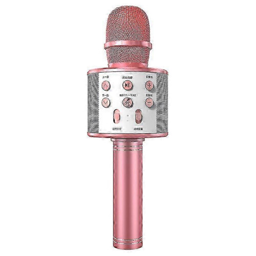 Microphone English VersionRose Gold