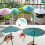 Parapluie pour plantes, Installation facile, décoration-Vert 2