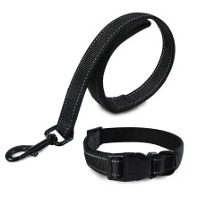 Dog collars and leads - Dog collars and leads