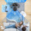Portable Oscillating Fan, 9 Inch, Quiet, 4 Speeds, Remote Control 2