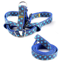 Harnais licol indispensable pour promener son chien : conception facilement ajustable, matériaux robustes et durables, idéal pour tout