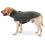 Pull en peluche à col montant pour animaux de compagnie, confortable et chaud 1