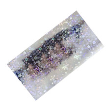 10Pcs Holographics Adhesive Film Hard Baits Lure Stickers-04