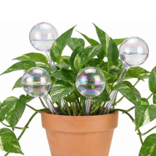 4-Pack Plant Flower Watering Globes Glass Watering Globes for Plants Glass