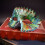 Eagle Half Face Mask Bird Beak Feather Mask- Kleurverloop 7