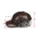 Men's Genuine Leather Bomber Hat Cowhide Baseball Cap with 5