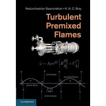 Turbulent Premixed Flames Paperback Book