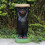 Resin Black Bear Side Table 1 Piece 5