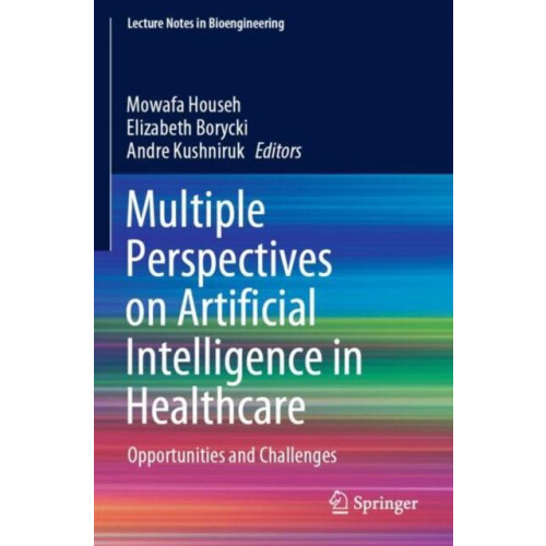 Multiple Perspectives on Artificial Intelligence in Healthcare Opportu