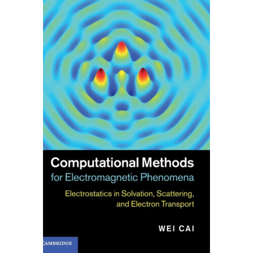 Computational Methods for Electromagnetic Phenomena by Wei Cai Hardcov