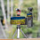 Osmo Pocket 3 phone mount with storage box cold shoe filter 2