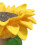 Polyresin Sunflower Bird Bath with Ladybug Brown Pedestal 4