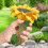 Polyresin Sunflower Bird Bath with Ladybug Brown Pedestal 7
