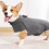 Pull en peluche à col montant pour animaux de compagnie, confortable et chaud 2